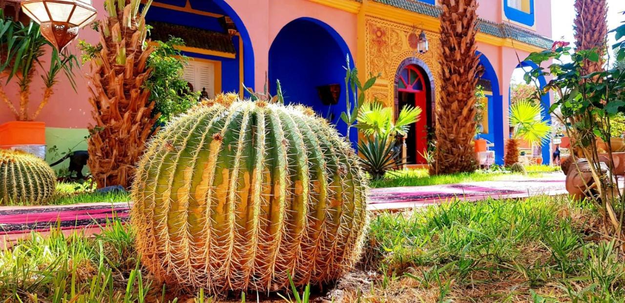 Riad Jasmine Sud Zagora Εξωτερικό φωτογραφία